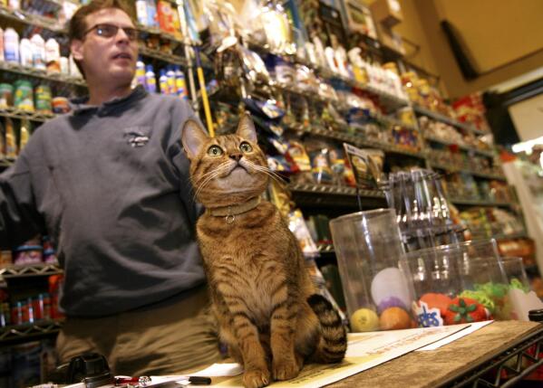 New pet discount stores near me